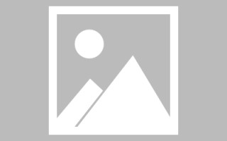 安岳最佳网站建设（网站建设哪个平台最好）